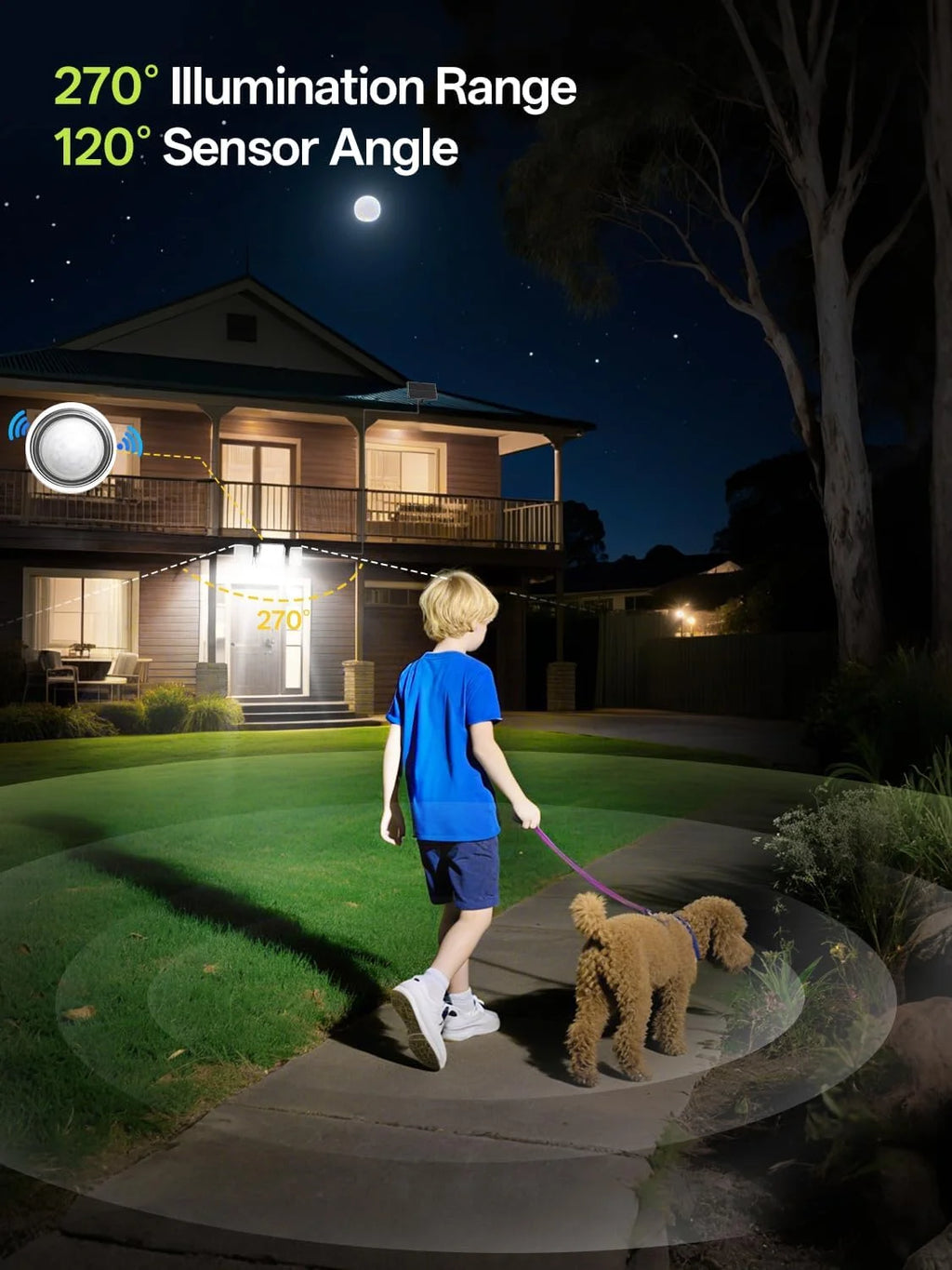 Sentinel Solar Motion Wall Light